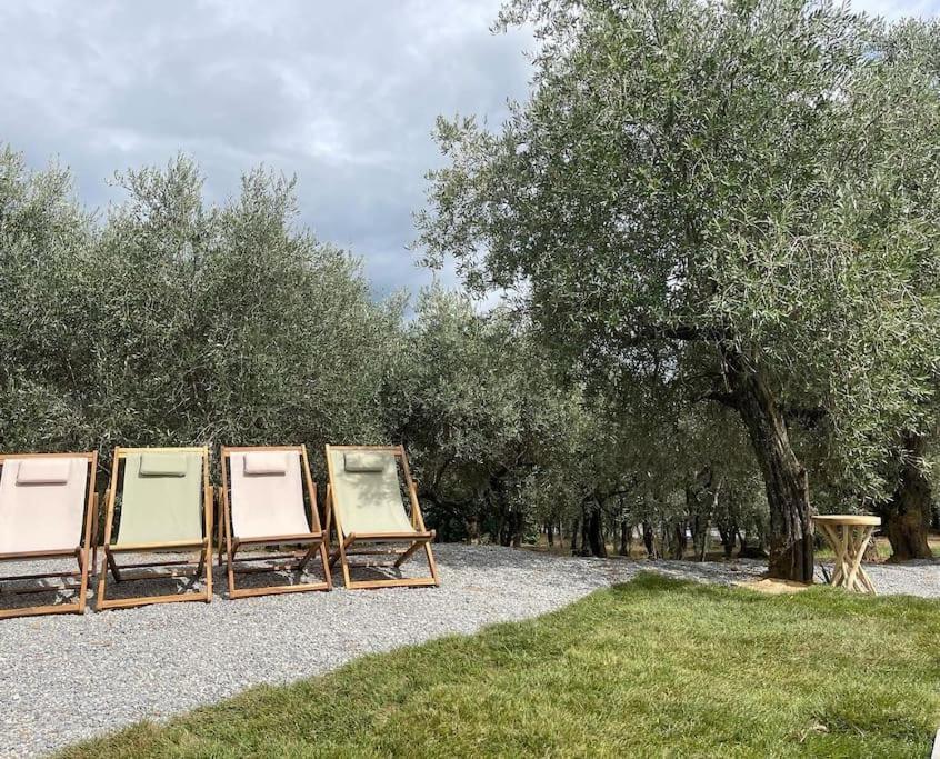 Il Fienile Di Alberto E Costanza Lucca Exterior foto